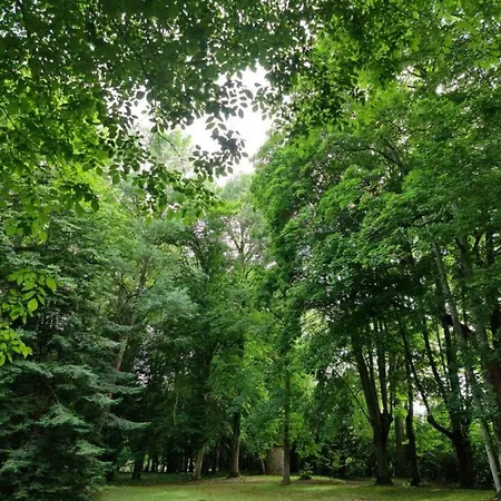 Au Coeur Des Lacs 住宿加早餐酒店 Lusigny-sur-Barse