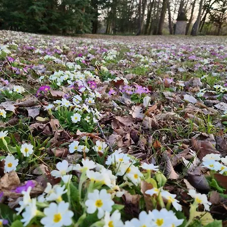 Au Coeur Des Lacs 住宿加早餐酒店 3*