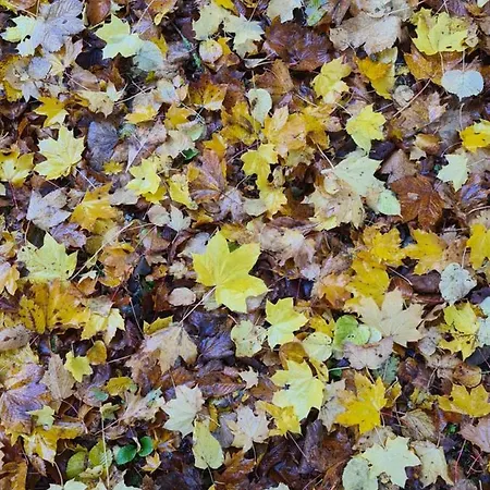 Au Coeur Des Lacs 住宿加早餐酒店 3*